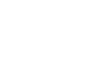 logo vietsing